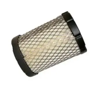 Air filter Briggs&Stratton 591583