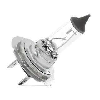 Pirn H7 12V 55W PX26d
