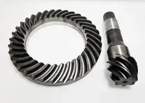 Worm wheel + worm Weidemann 1000248813
