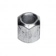 Haagise mutter M16x1.5 (V) PTS 887A-3101041-10-16