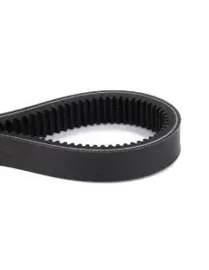 Variator belt 44x22x1950 Sampo 3R621546