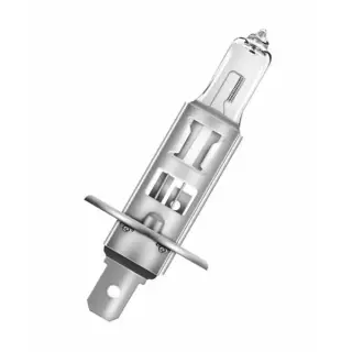 Pirn H1 12V 55w P14.5S