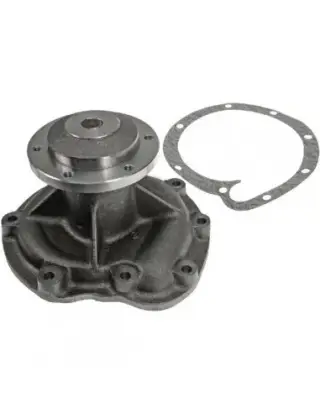 Water pump MF D206,3136217R93